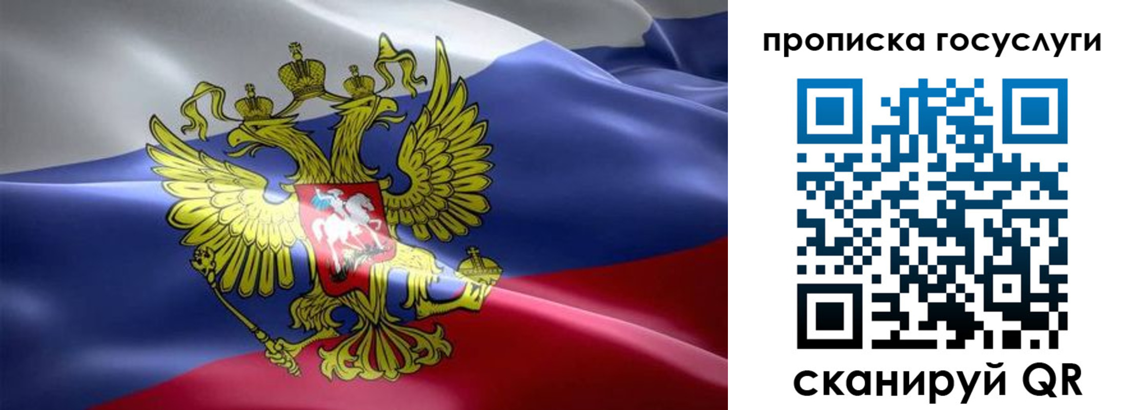 прописка законно в Волосово