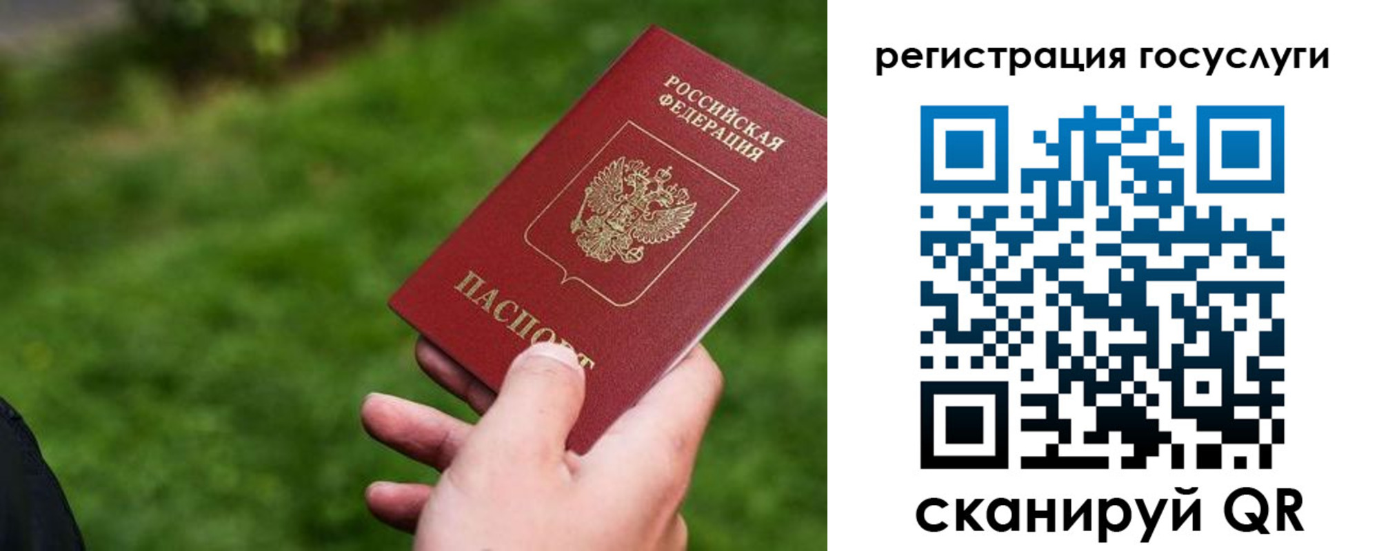 временная регистрация в Волосово